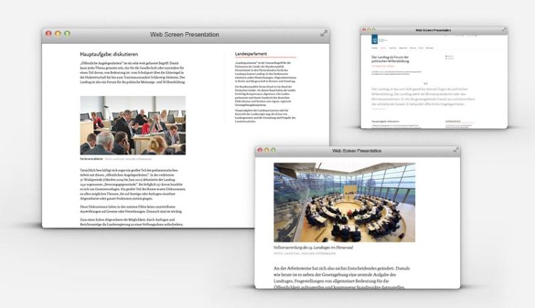 Webseite Aufgaben des Landtag Schleswig Holstein